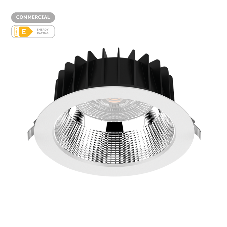 Eyebrook Lens Downlight